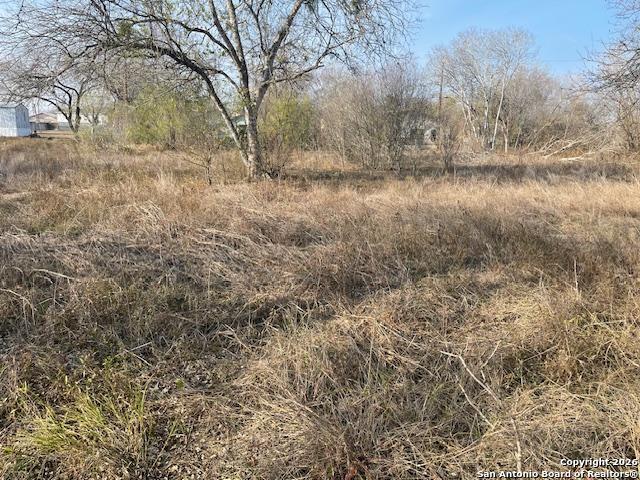 606 Cedar Jourdanton, TX 78026 - Photo 2 of 8 a view of a yard with a tree
