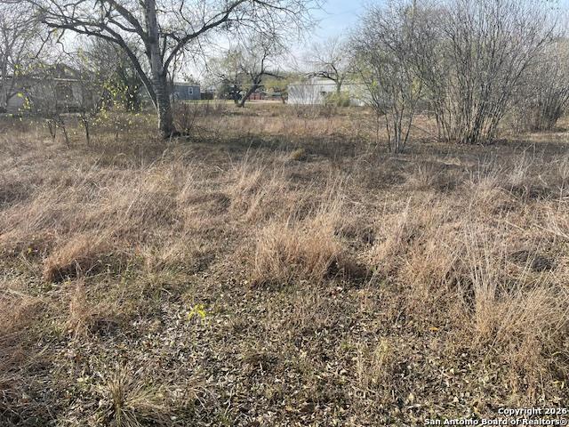 606 Cedar Jourdanton, TX 78026 - Photo 4 of 8 a view of a dry yard with trees