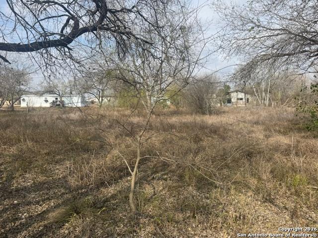 606 Cedar Jourdanton, TX 78026 - Photo 5 of 8 a view of a yard with large trees