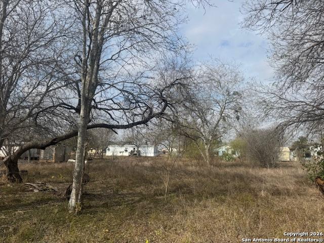 606 Cedar Jourdanton, TX 78026 - Photo 6 of 8 a backyard of a house with lots of green space
