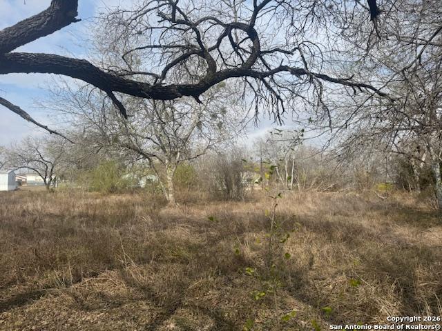 606 Cedar Jourdanton, TX 78026 - Photo 7 of 8 a view of a yard