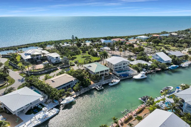 an aerial view of a houses with a lake view