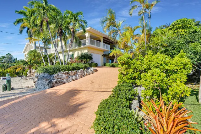 a view of a garden with plants