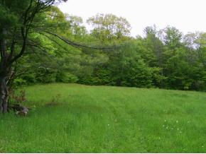 Off Cedar Mountain Road Castleton, VT 05732 - Photo 1 of 3