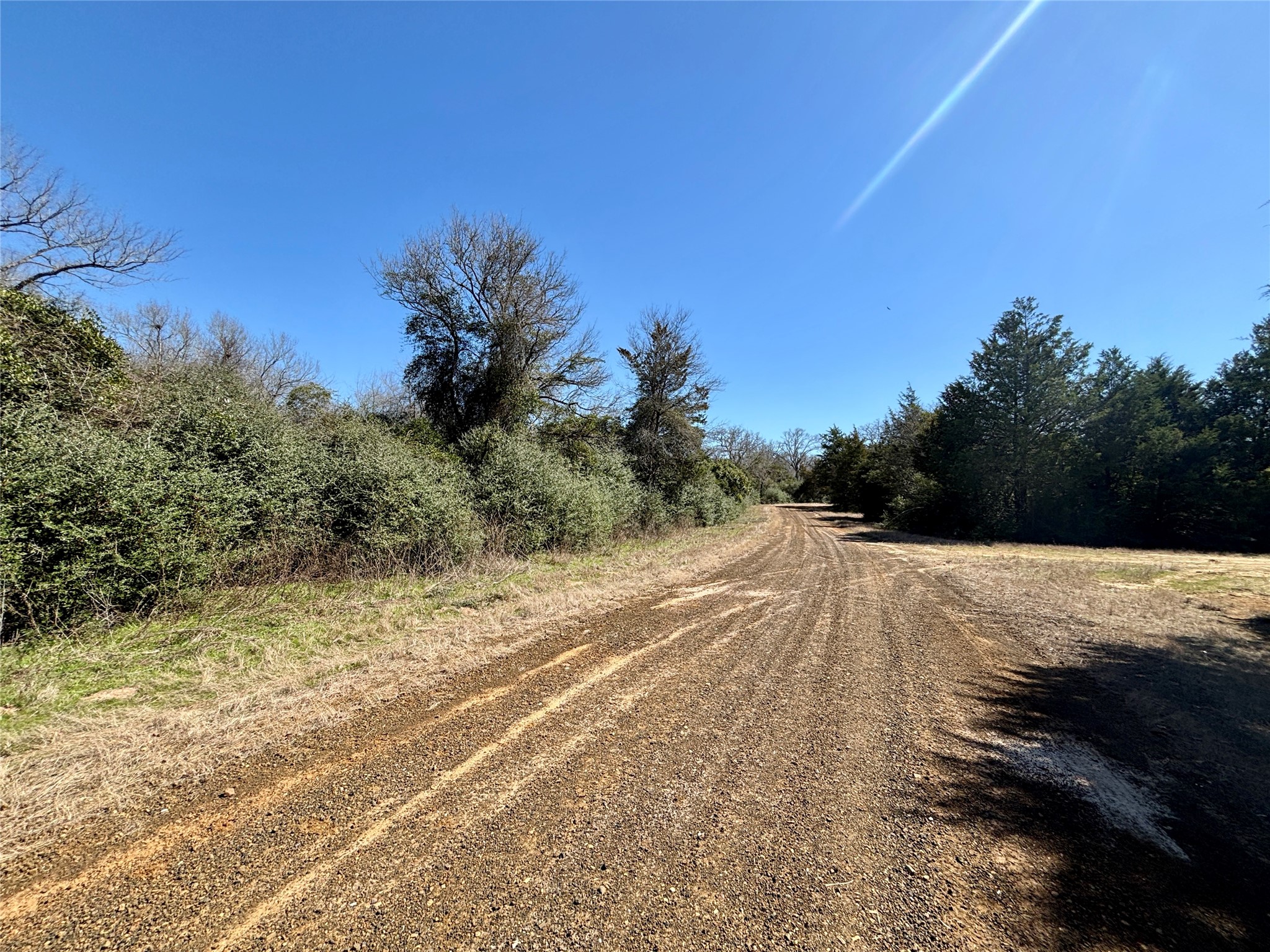 Tbd Sycamore Branch Road Normangee, TX 77871 - Photo 1 of 8 a view of a yard with a tree