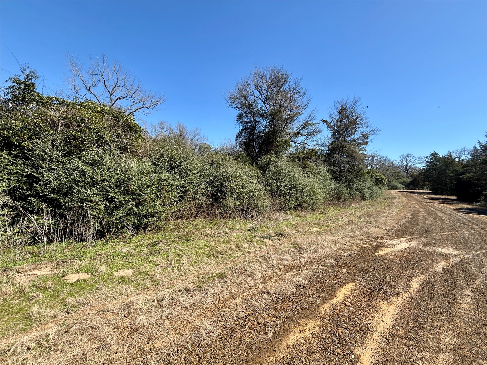 Tbd Sycamore Branch Road Normangee, TX 77871 - Photo 5 of 8 a view of a yard with a tree