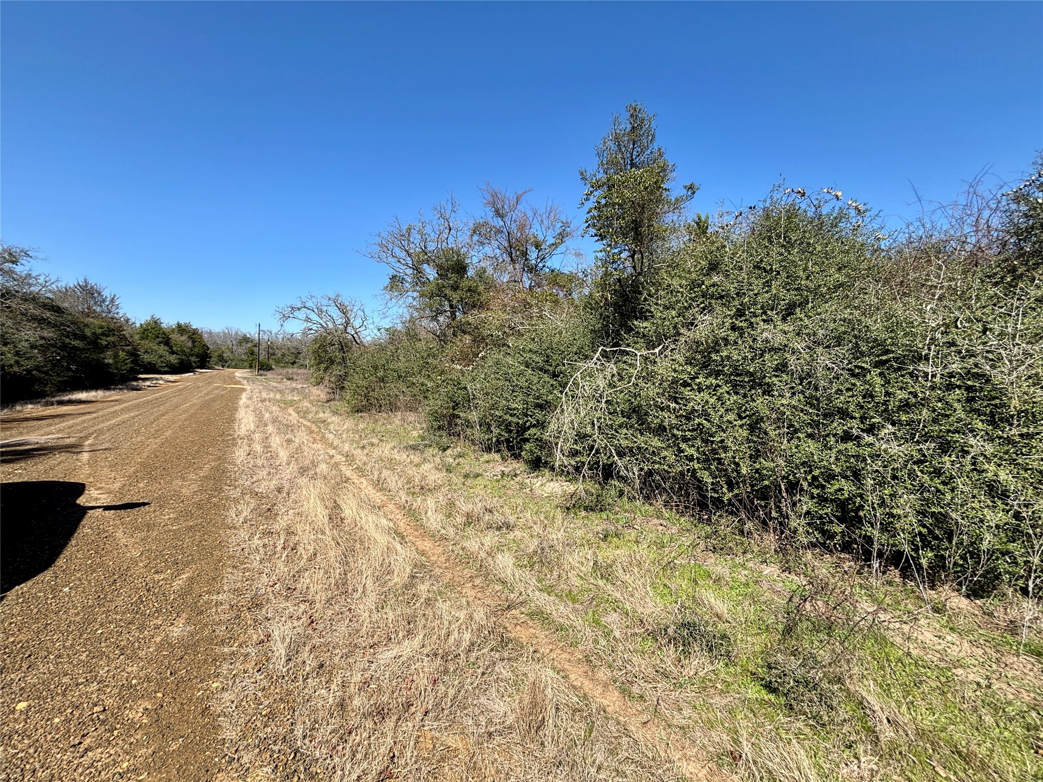 Tbd Sycamore Branch Road Normangee, TX 77871 - Photo 6 of 8 a view of a yard with trees and a wooden fence