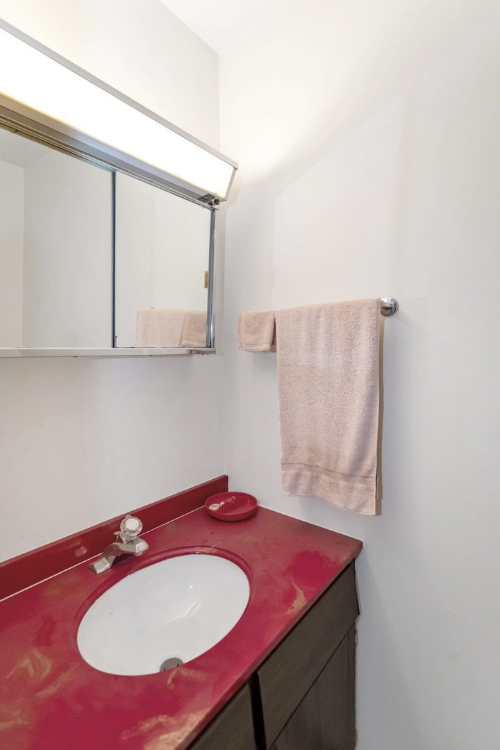 1155 Leicester Court Wheaton, IL 60189 - Photo 17 of 30 a bathroom with a sink a mirror and vanity