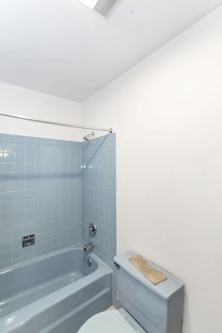 1155 Leicester Court Wheaton, IL 60189 - Photo 24 of 30 a bathroom with a bathtub and a shower