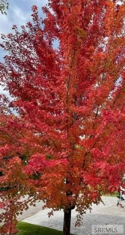 $729,000 | 200 West Commons Road, Idaho Falls, ID 83401