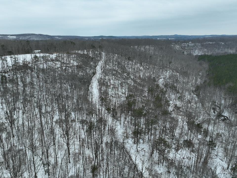 6 Lime Plant Road Appomattox, VA 24522 - Photo 2 of 17