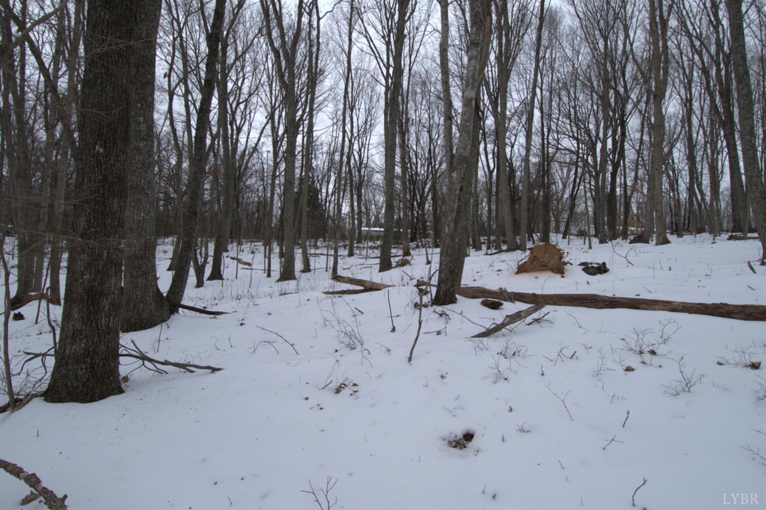 6 Lime Plant Road Appomattox, VA 24522 - Photo 5 of 17