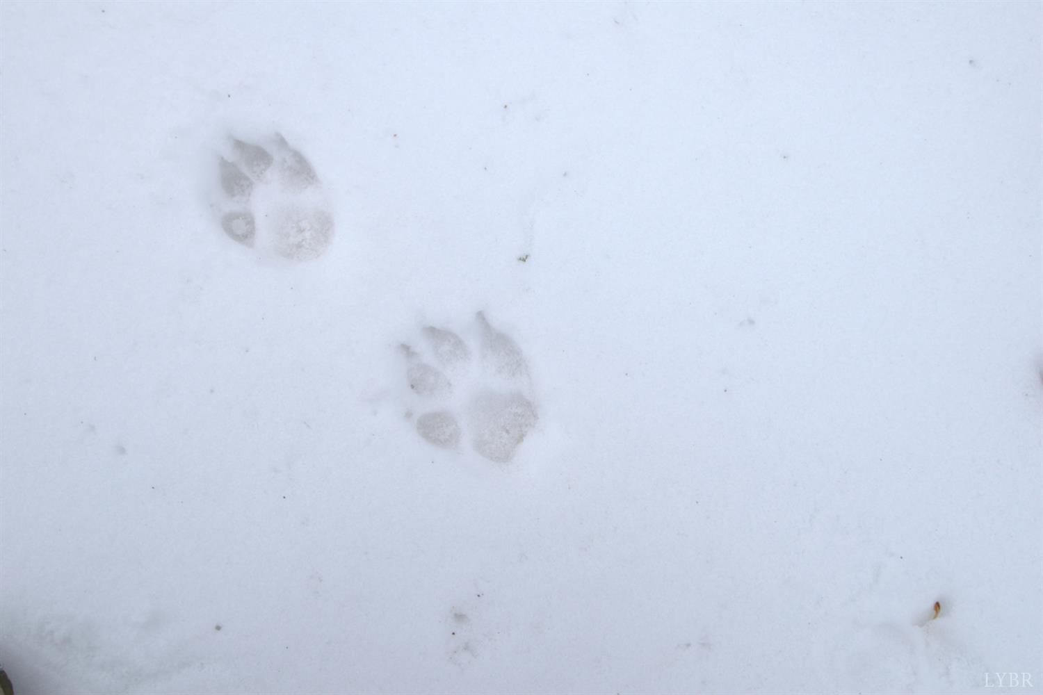 6 Lime Plant Road Appomattox, VA 24522 - Photo 7 of 17