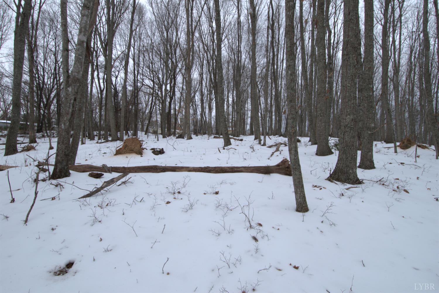 6 Lime Plant Road Appomattox, VA 24522 - Photo 9 of 17