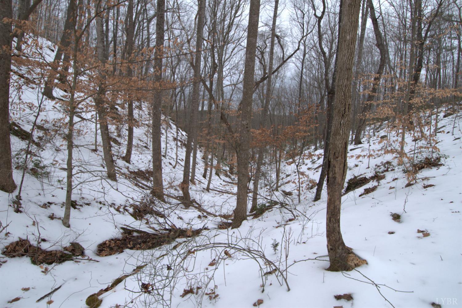 6 Lime Plant Road Appomattox, VA 24522 - Photo 10 of 17