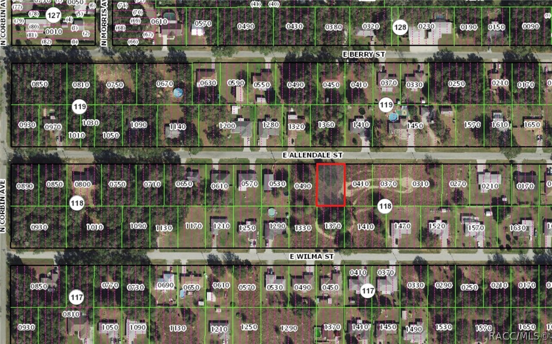 0 East Allendale Street Inverness, FL 34453 - Photo 3 of 15