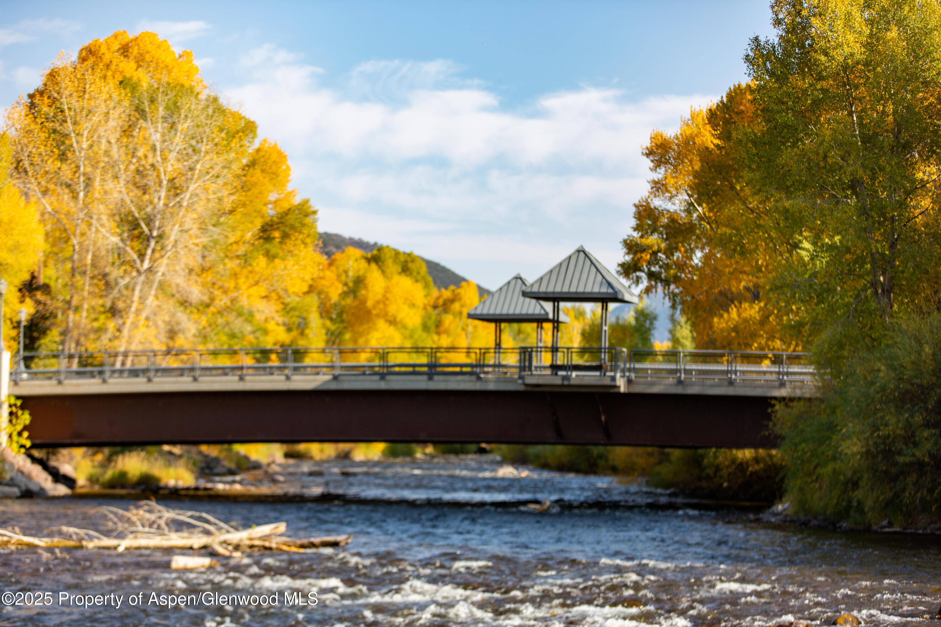 140 Basalt Center Circle, Unit 202 Basalt, CO 81621 - Photo 9 of 17 a view of a swimming pool with a lounge chair