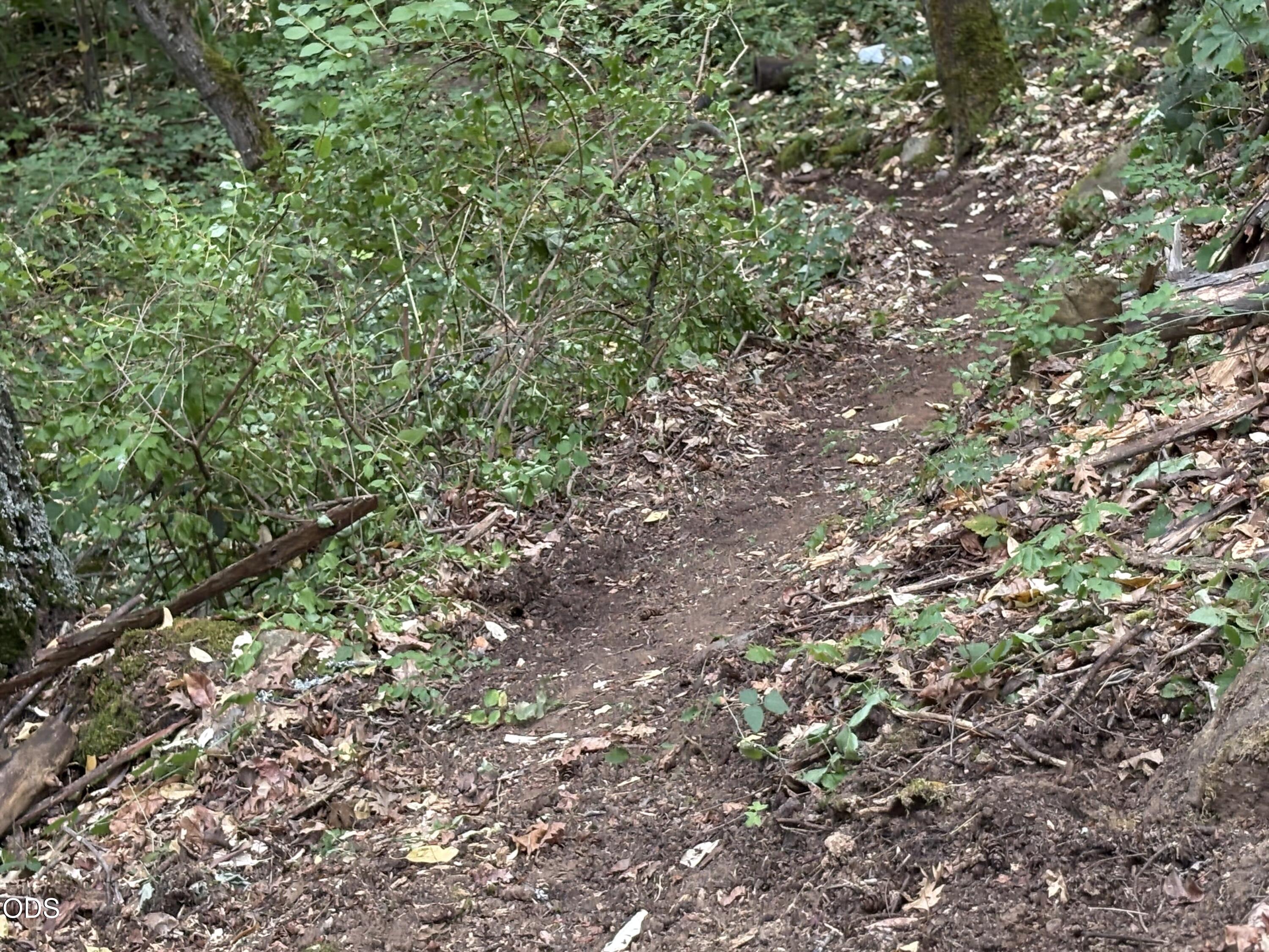 1600 Neil Creek Road Ashland, OR 97520 - Photo 6 of 9