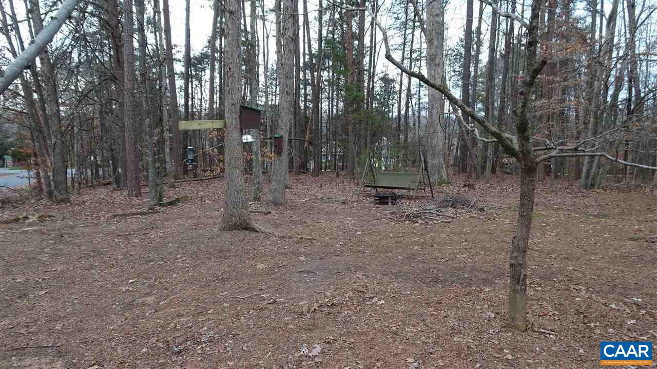 25 Stonefield Road Palmyra, VA 22963 - Photo 11 of 15 a view of a forest with trees in the background