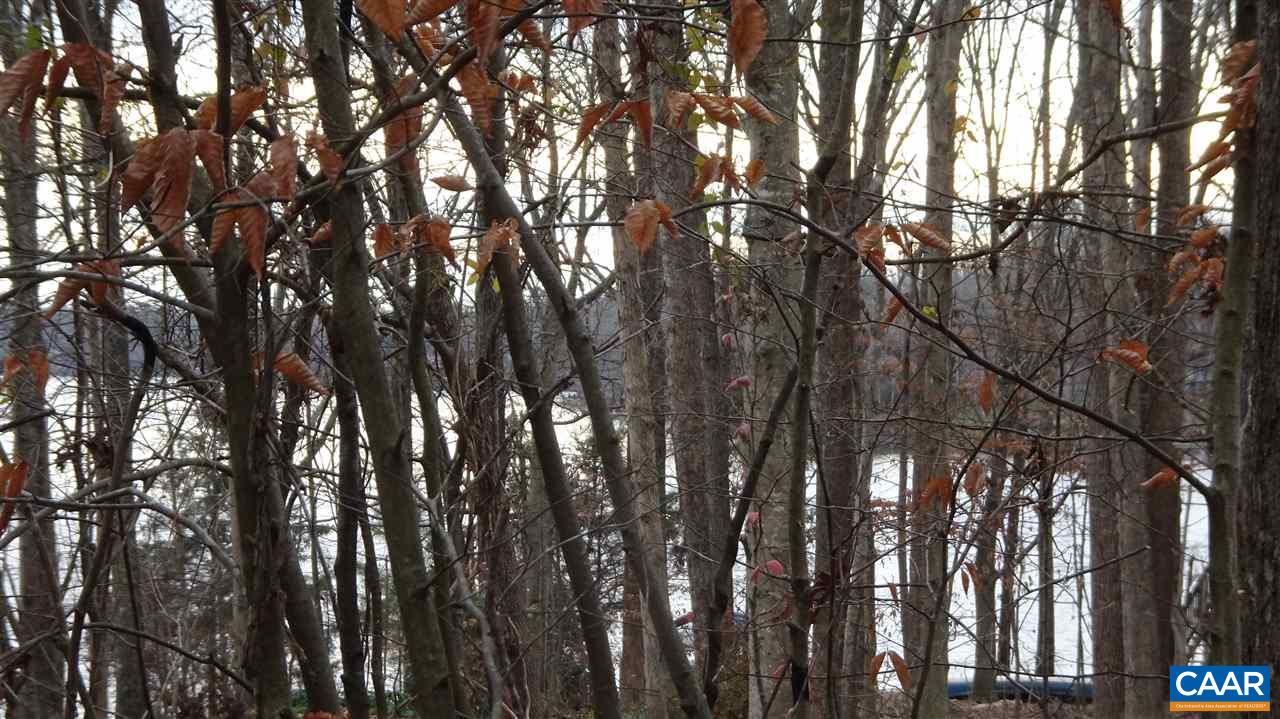 25 Stonefield Road Palmyra, VA 22963 - Photo 15 of 15