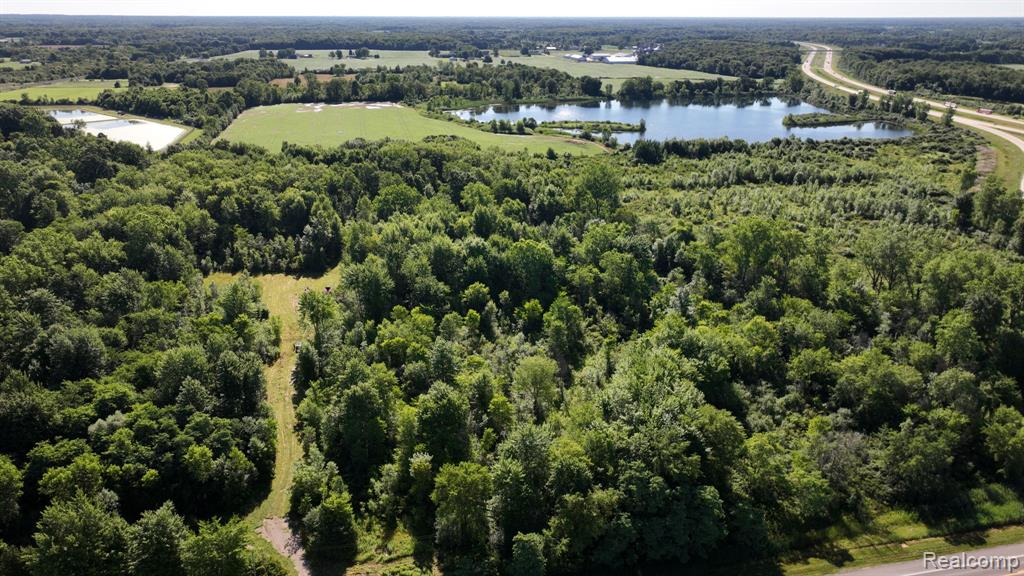 0 Kinney Road Emmett, MI 48022 - Photo 1 of 16