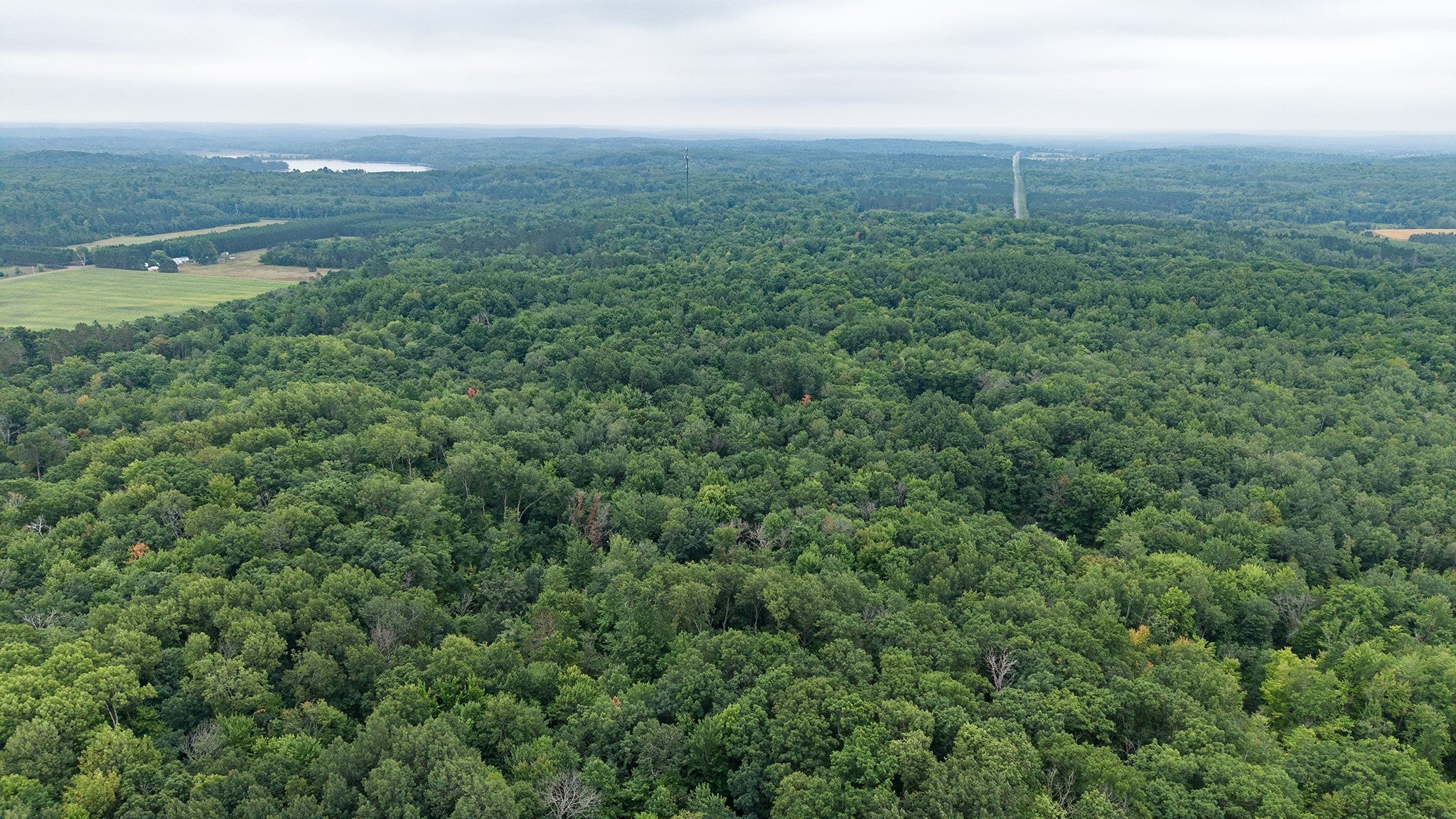 Xxx Pretty Road Springbrook, WI 54875 - Photo 4 of 12 Gallery Image 4