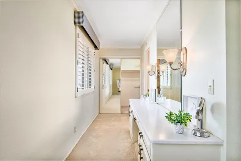 a bathroom with a sink a mirror and a potted plant