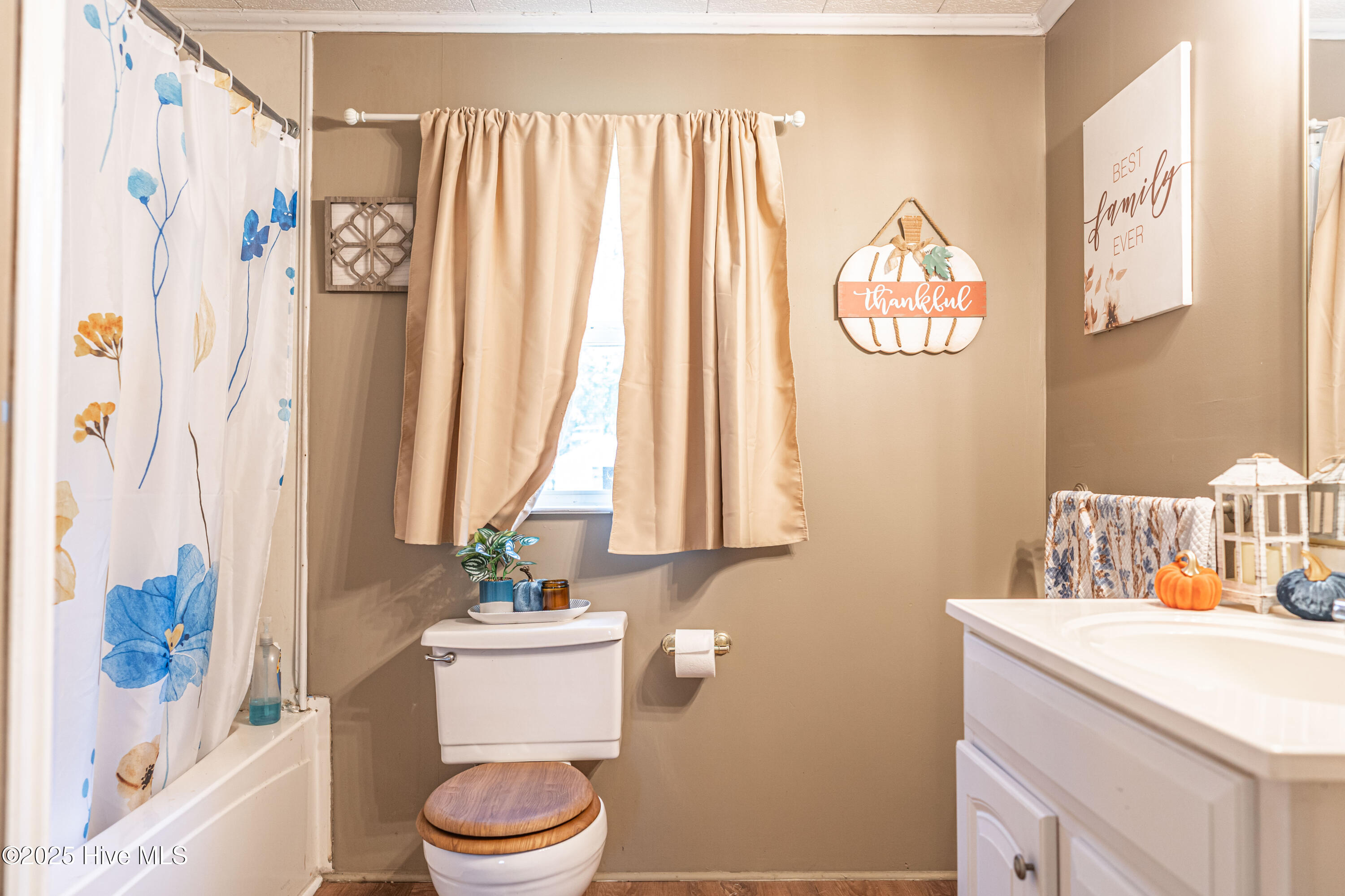 113 Sycamore Street Hamlet, NC 28345 - Photo 33 of 45 DSC04163