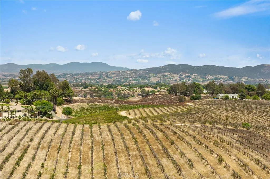 0 Rancho California Road Temecula, CA 92592 - Photo 10 of 13 Vineyards