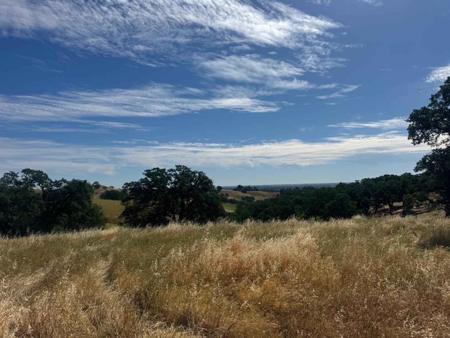 0 County Road 34 Winters, CA 95694 - Photo 2 of 25