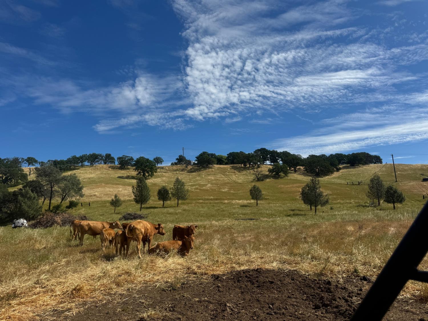 0 County Road 34 Winters, CA 95694 - Photo 3 of 25
