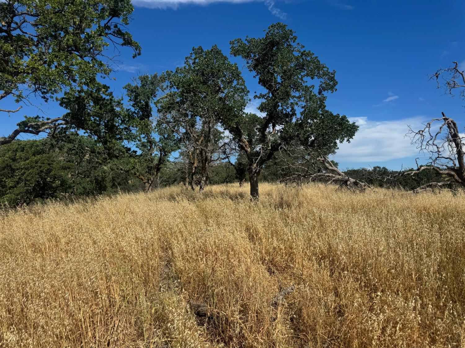 0 County Road 34 Winters, CA 95694 - Photo 4 of 25