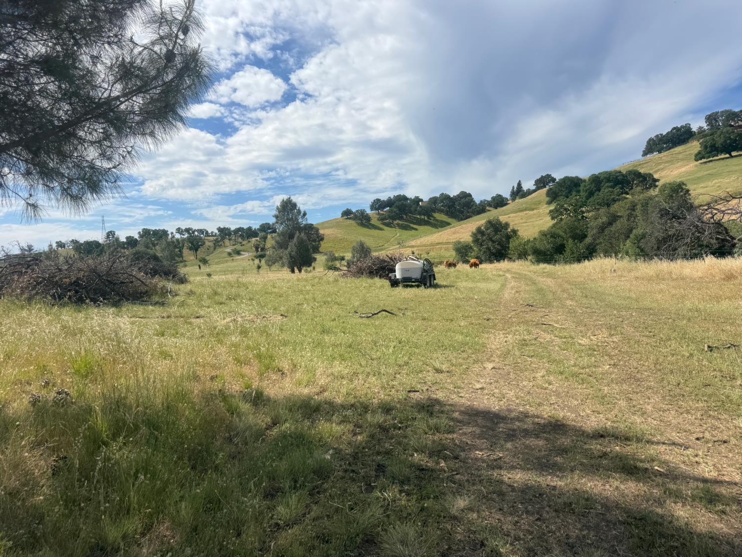 0 County Road 34 Winters, CA 95694 - Photo 5 of 25