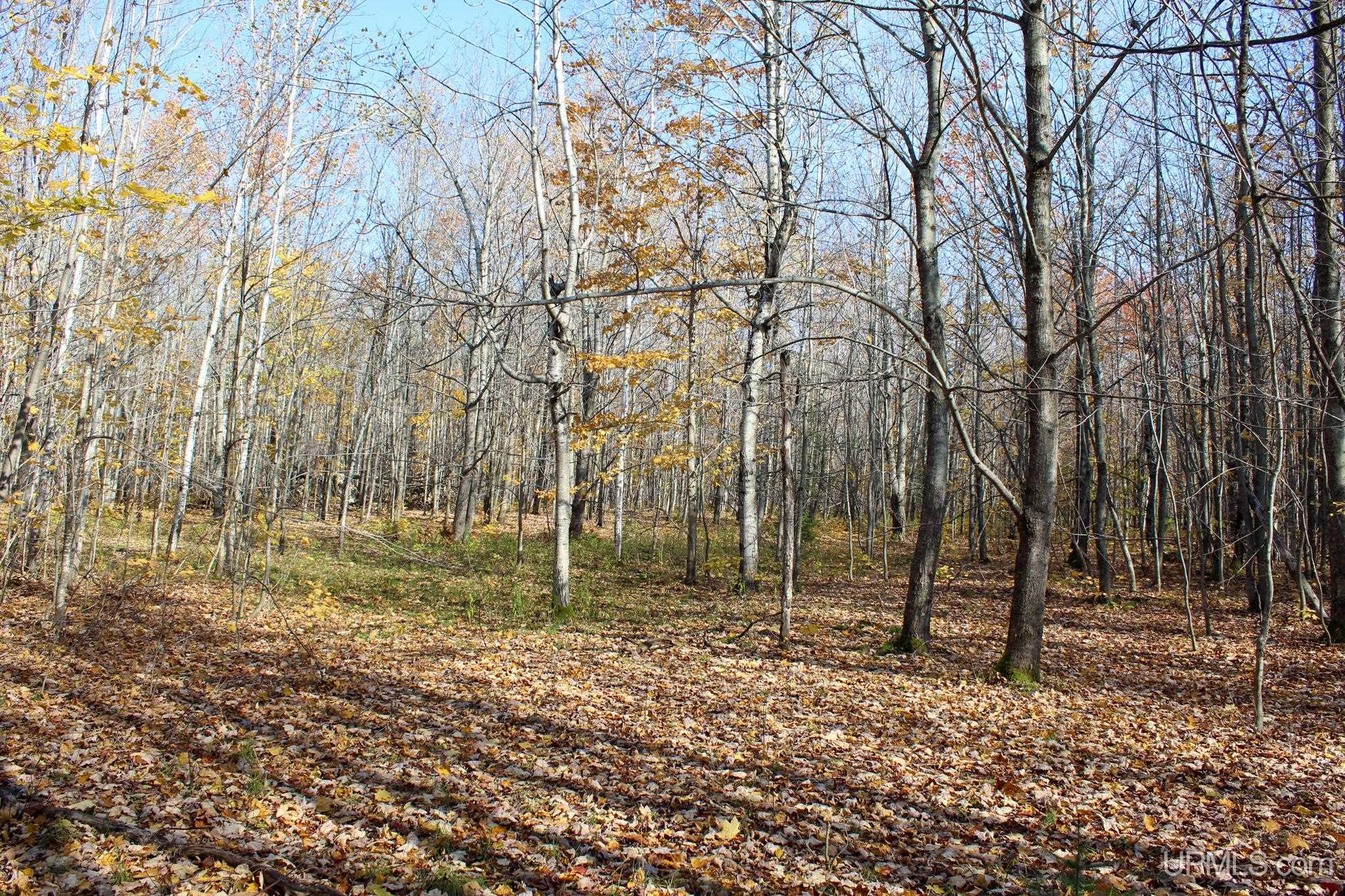Tbd Pike River Road Chassell, MI 49916 - Photo 50 of 57 Gallery Image 50