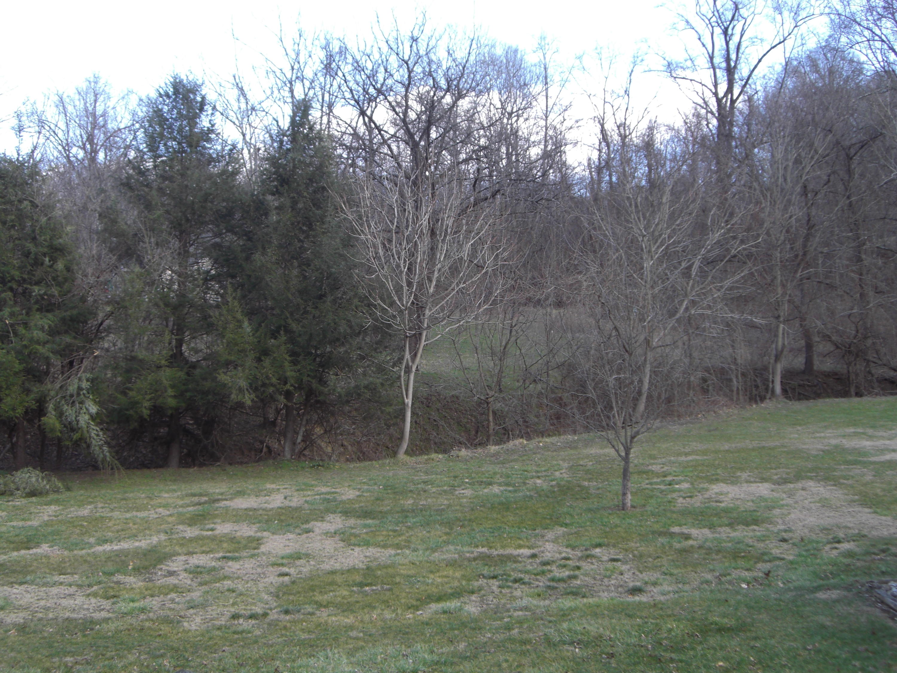 2636 Bandy Road Southeast Roanoke, VA 24014 - Photo 7 of 7 View From Back of House