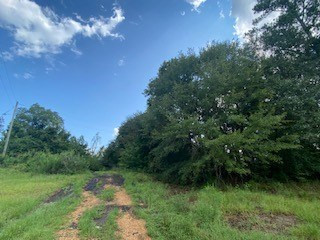 0 Tower Road Wesson, MS 39191 - Photo 3 of 7 Photo 3