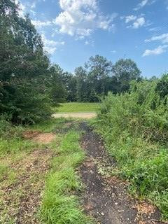 0 Tower Road Wesson, MS 39191 - Photo 4 of 7 Photo 4