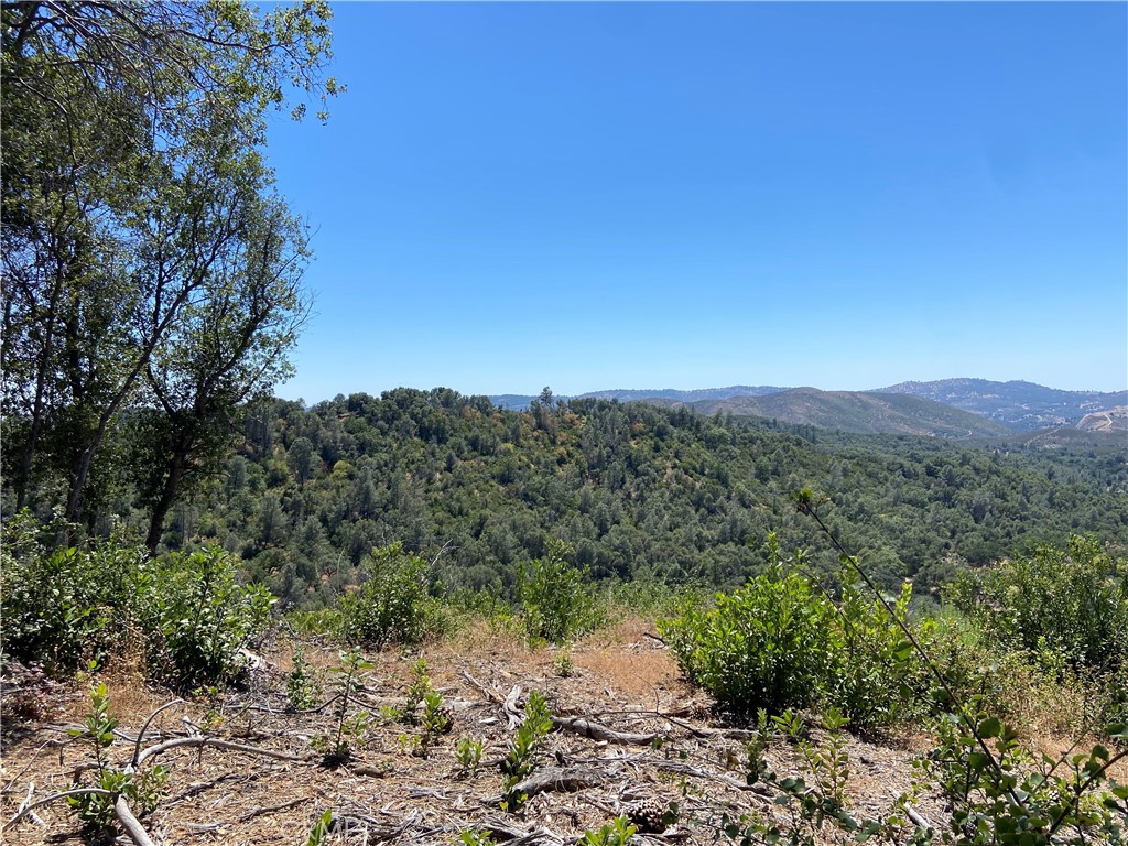 0 Bumguardner Mountain Road Mariposa, CA 95338 - Photo 11 of 36