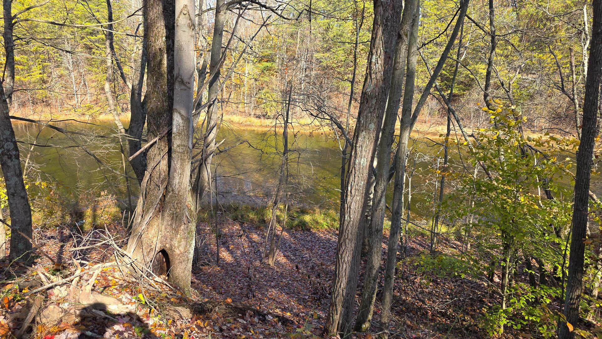 830 Nibert Road, Unit PONDS POPLAR RIDGE TRACT 3) Gallipolis, OH 45631 - Photo 14 of 23 CT-14