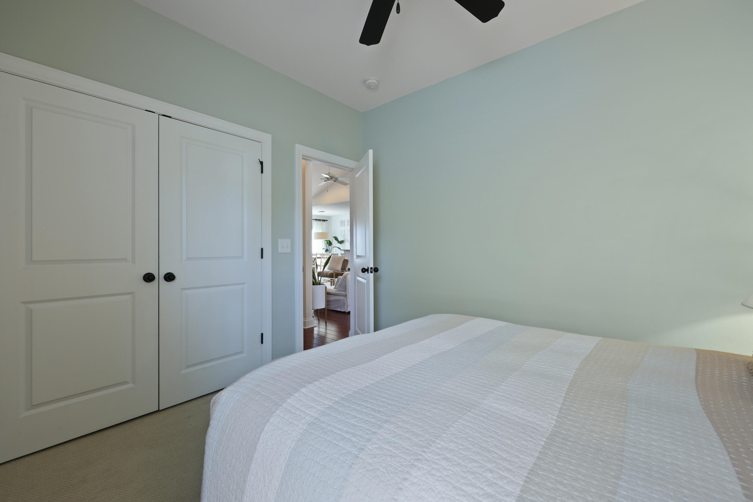 2141 Sandy Point Lane Mount Pleasant, SC 29466 - Photo 29 of 70 43_ru4a0248