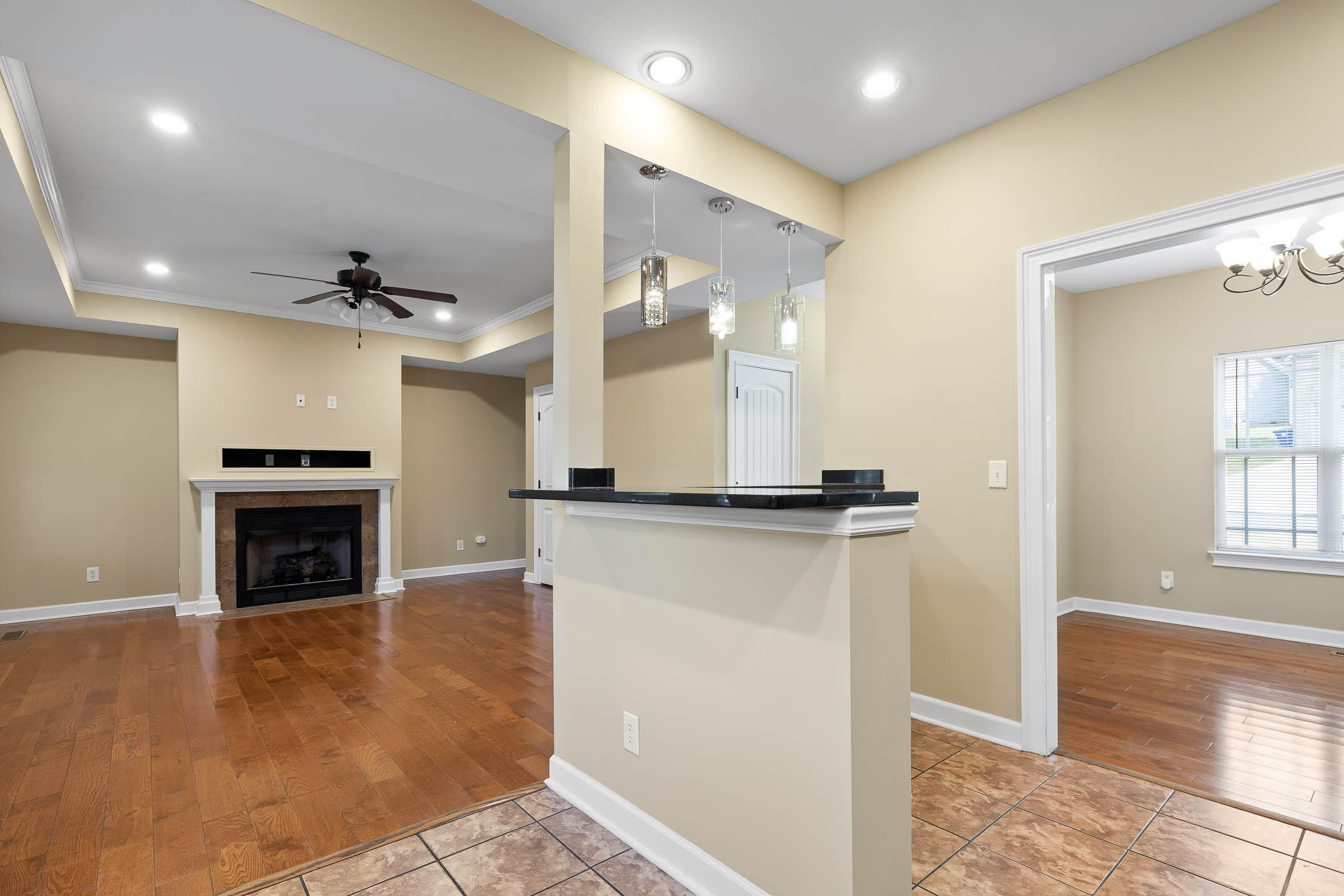 894 Windrush Loop Chattanooga, TN 37421 - Photo 9 of 48 Windrush-14