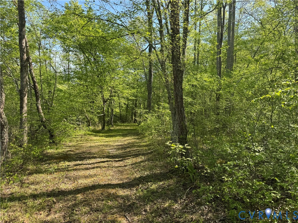 14430 Overlook Ridge Lane Beaverdam, VA 23015 - Photo 66 of 71 Marked trails (see diagram in picture #72)