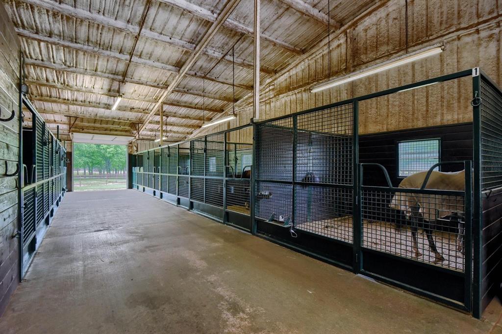 10898 Friendship Road Pilot Point, TX 76258 - Photo 18 of 24 View of horse barn