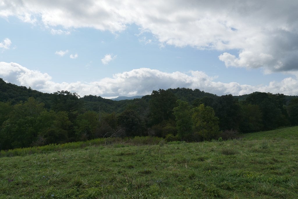 Tbd South Fork River Road, Unit 1 Glade Spring, VA 24340 - Photo 15 of 57 Gallery Image 15