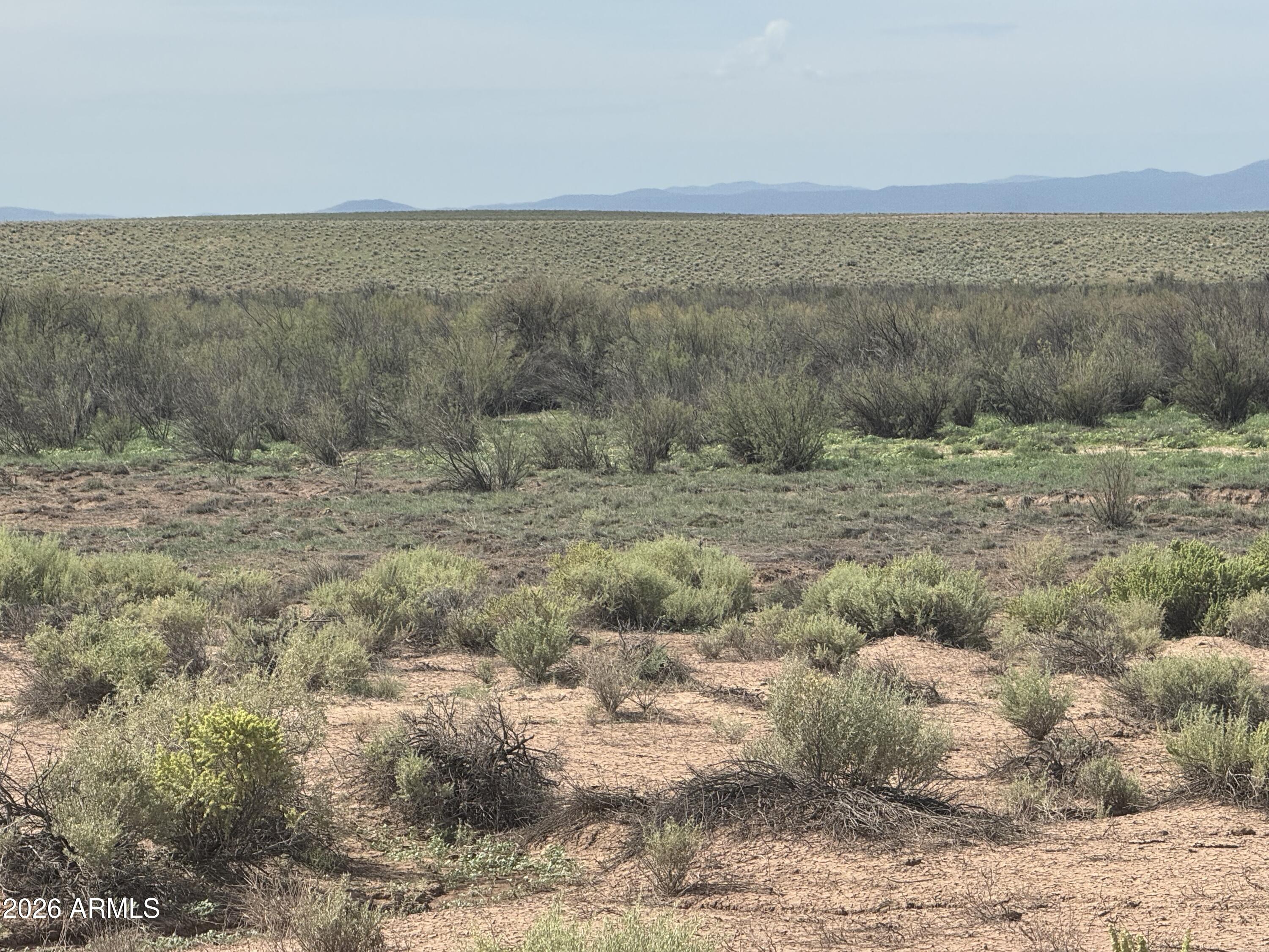 Lot 445 Carrizo Ranch, Unit 445 St. Johns, AZ 85936 - Photo 4 of 15 IMG_2045