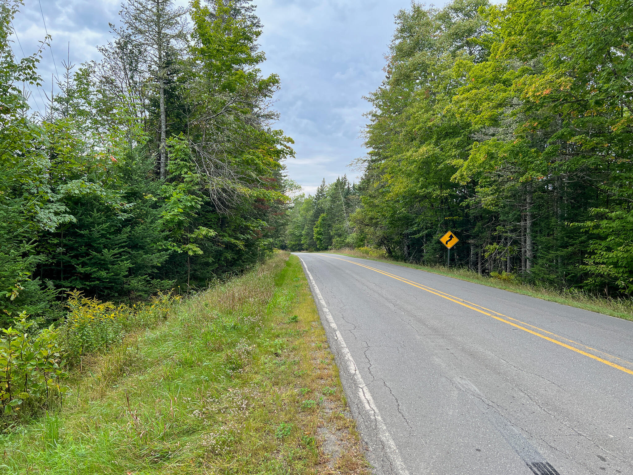 0 Springfield Road Danforth, ME 04424 - Photo 12 of 19 IMG_0592