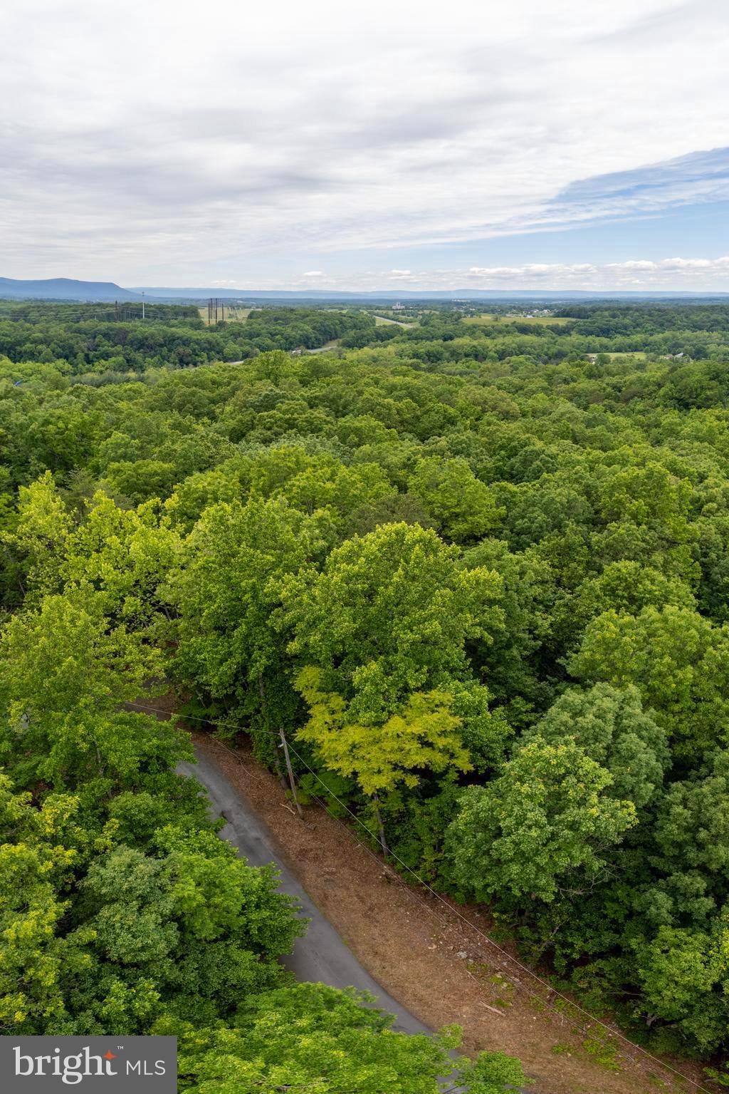 64 Brandy Road Front Royal, VA 22630 - Photo 13 of 17 Close to the Shenandoah National Park