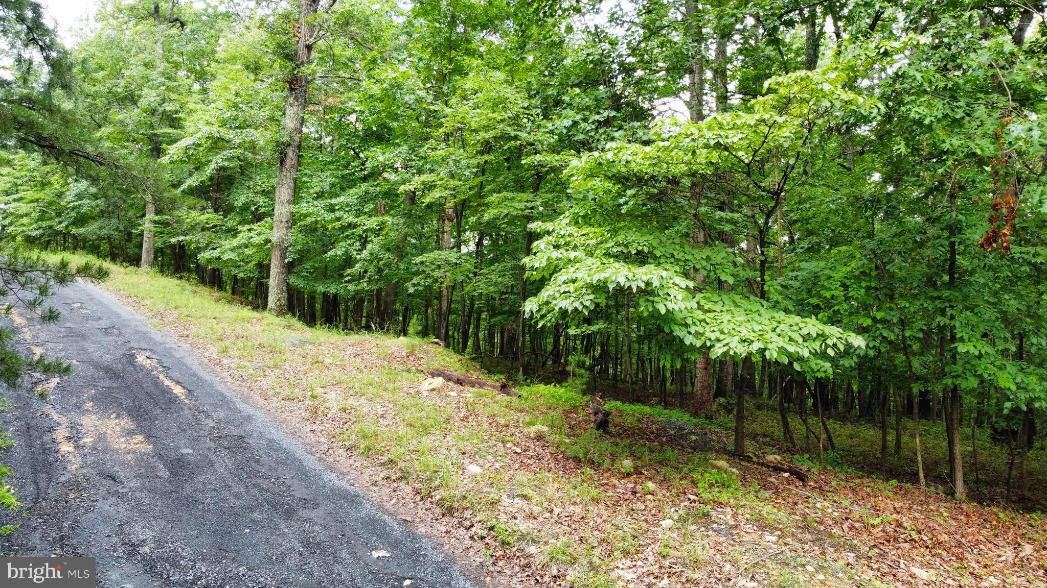 64 Brandy Road Front Royal, VA 22630 - Photo 5 of 17 This is from Brandy Road