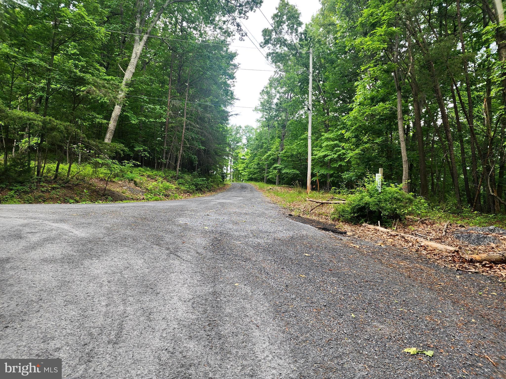 64 Brandy Road Front Royal, VA 22630 - Photo 6 of 17 Driving up Brandy Rd lot on right