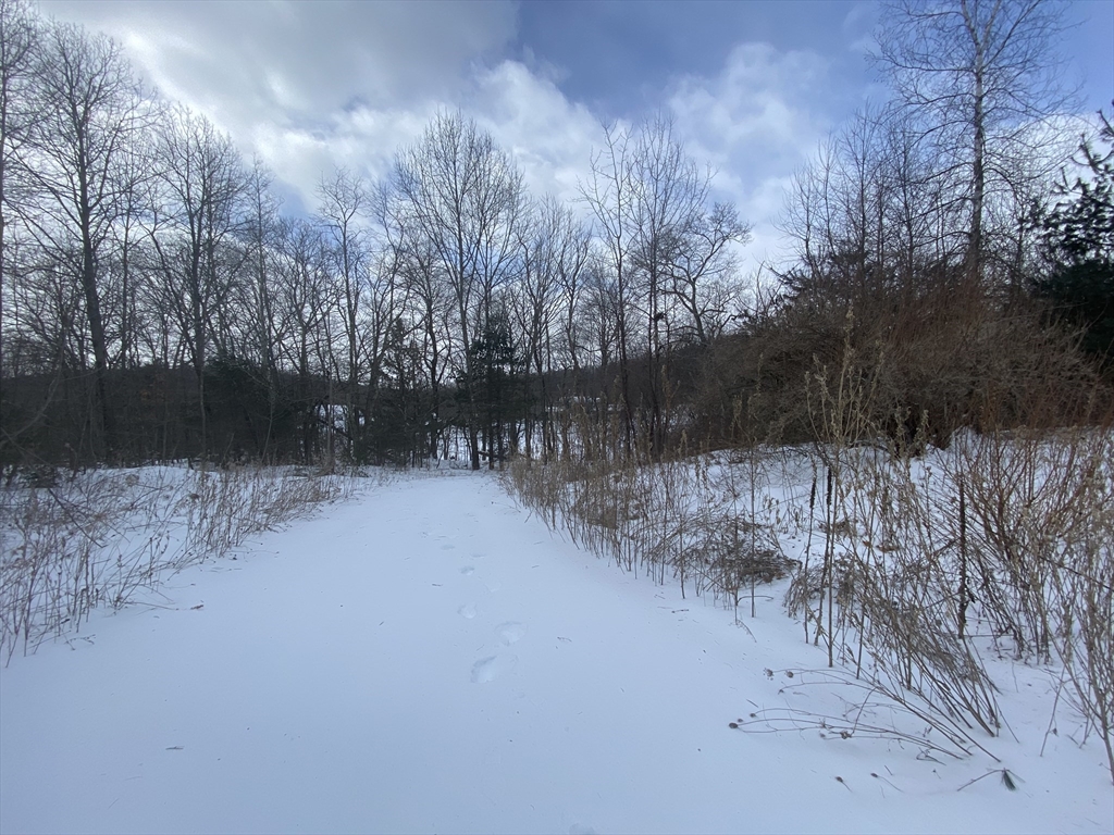 105 Forest Avenue Warren, MA 01585 - Photo 4 of 24